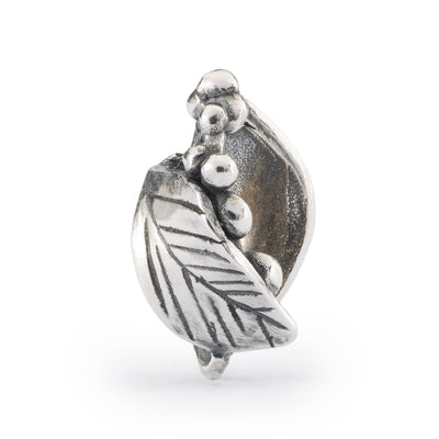 Bead Nuevos Comienzos